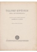 Schöpflin Aladár - Tillinkó kópéságai (Till Eulenspiegel)
