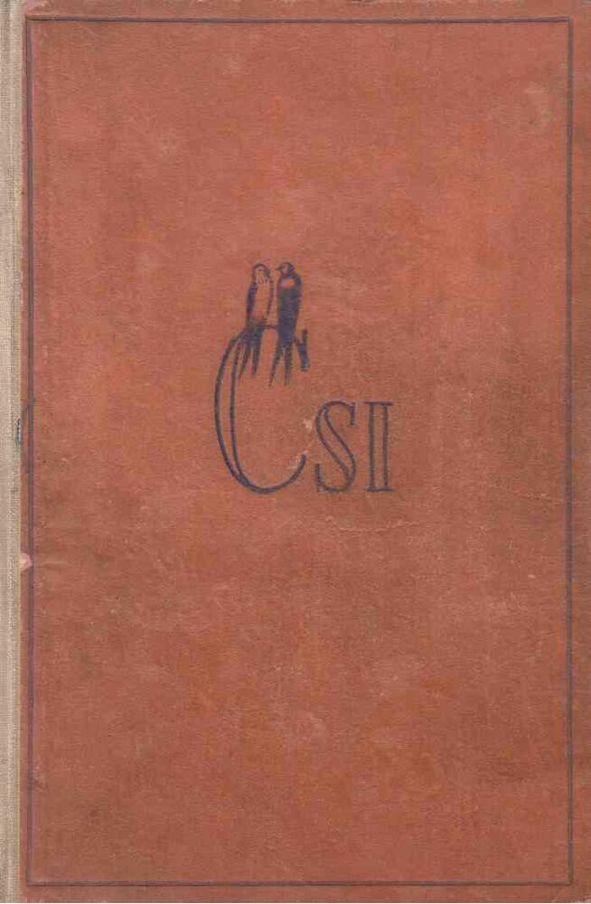 Fekete István - Csí
