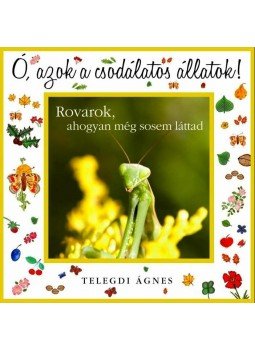 Telegdi Ágnes - Ó, azok a csodálatos állatok!  - Rovarok és pókok - AHOGY MÉG SOSEM LÁTTAD ŐKET, null 0 antikvár könyv