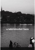 Toroczkay András - A labirintusból haza