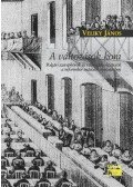 Veliky János - A VÁLTOZÁSOK KORA - ÜKH -2009