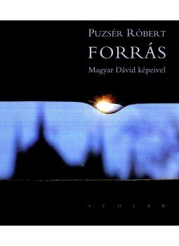 Puzsér Róbert - Forrás, null 2008 antikvár könyv