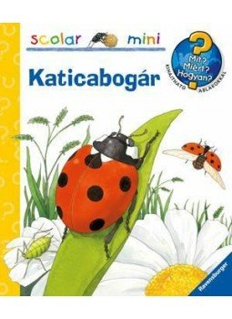 Andrea Erne - Katicabogár Andrea Erne - Katicabogár, 2013 antikvár könyv