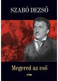 Szabó Dezső - Megered az eső