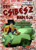 Csabai Márk - Egy csibész naplója - A nő bajjal jár