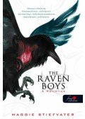 Maggie Stiefvater - The raven boys - A Hollófiúk - PUHATÁBLA