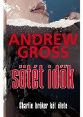 Andrew Gross - Sötét idők