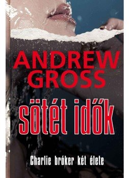 Andrew Gross - Sötét idők, null 2010 antikvár könyv