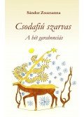 Sándor Zsuzsanna - Csodafiú szarvas