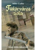 Mikó Csaba - Tükörváros titka