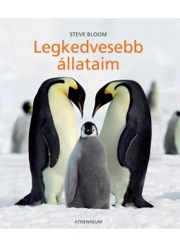 Steve Bloom - Legkedvesebb állataim Steve Bloom - Legkedvesebb állataim, null 2010 antikvár könyv
