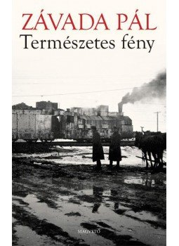 Závada Pál - Természetes fény Závada Pál - Természetes fény, Budapest 2014 antikvár könyv