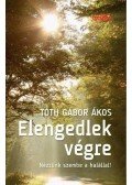 Tóth Gábor Ákos - Elengedlek végre