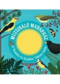 Kaláka és Gryllus Vilmos - Muzsikáló Madárház - a Kaláka és Gryllus Vilmos dalai