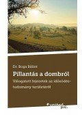 Dr. Boga Bálint - Pillantás a dombról