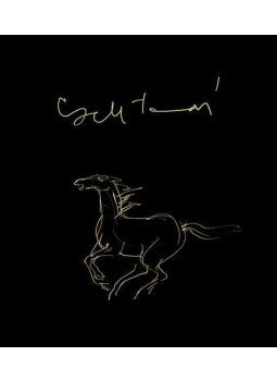 Cseh Tamás - Grafikák Cseh Tamás - Grafikák, 2014 antikvár könyv