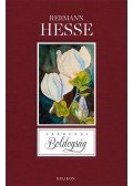 Hermann Hesse - Szeretni boldogság