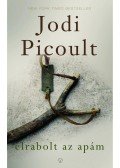 Jodi Picoult - Elrabolt az apám