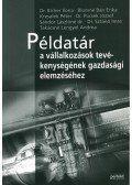 Dr. Birher Ilona,Blumné Bán Erika,Kresalek Péter,Dr. Pucsek József,Sándor Lászlóné dr.,Dr. Sztanó Imre,Takácsné Lengyel Andrea - Példatár a vállalkozások tevékenységének gazdasági elemzéséhez