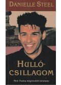 Danielle Steel - Hullócsillagom