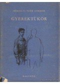 Somogyi Tóth Sándor - Gyerektükör