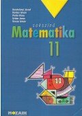 Kosztolányi József,Kovács István,Pintér Klára,Urbán János,Vincze István - Sokszínű matematika 11.