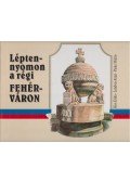 Kiss Erika,Lendvai Antal,Pinke Miklós - Lépten-nyomon a régi Fehérváron