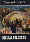 Koncsek László - Bibliai földeken