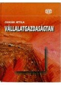 Chikán Attila - Vállalatgazdaságtan