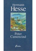 Hermann Hesse - Peter Camenzind