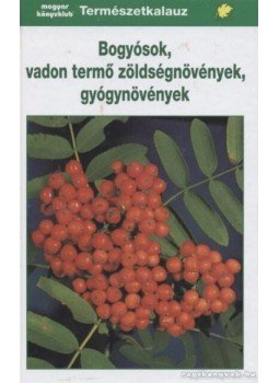 Grau/Jung/Münker, Gunter Steinbach - Bogyósok, vadon termő zöldségnövények, gyógynövények, Budapest 2000 antikvár könyv