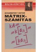 Scharnitzky Viktor - Mátrixszámítás