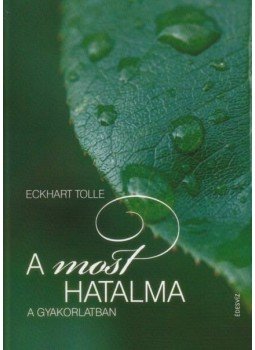 Eckhart Tolle - A most hatalma a gyakorlatban Eckhart Tolle - A most hatalma a gyakorlatban, Budapest 2015 antikvár könyv