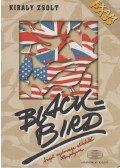 Király Zsolt - Blackbird