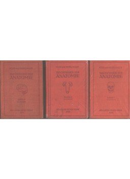 Hermann Voss, Robert Herrlinger - Taschenbuch der Anatomie I-III., Jena 1955 antikvár könyv