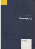 Kisfaludi András - Társasági jog
