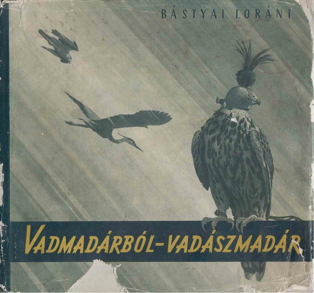 Bástyai Loránt - Vadmadárból – vadászmadár, Budapest 1955 antikvár könyv