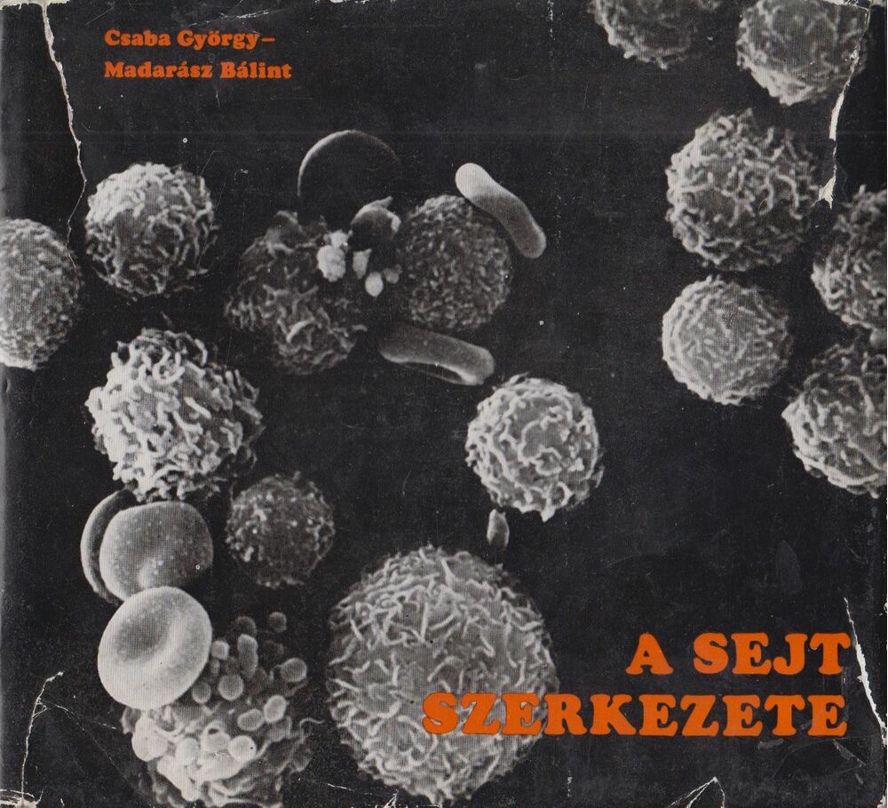 Csaba György,Madarász Bálint - A sejt szerkezete