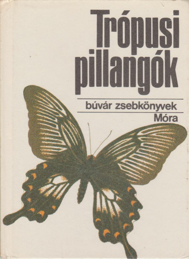 Mészáros Zoltán - Trópusi pillangók