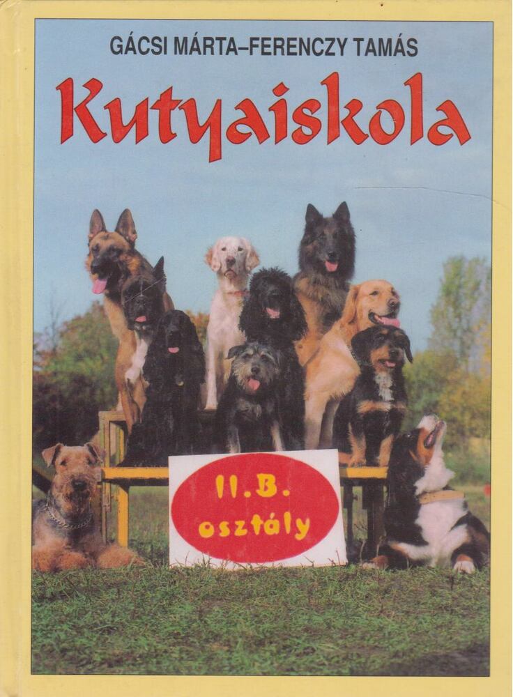 Gácsi Márta,Ferenczy Tamás - Kutyaiskola