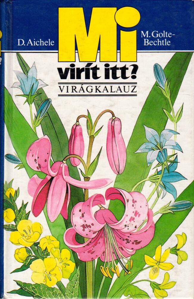 Golte-Bechtle, M.,Aichele, D. - Mi virít itt?