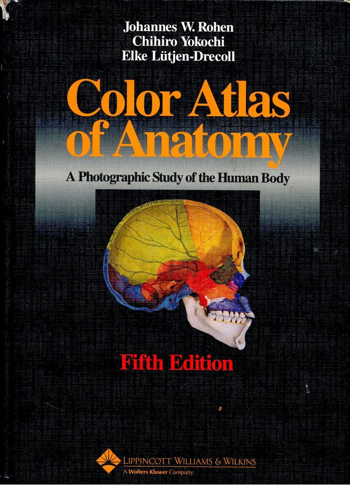 ROHEN, JOHANNES - YOKOCHI, CHIHIRO - LÜTJEN-DRECOLL, ELKE - Color Atlas of Anatomy: A Photographic Study of the Human Body