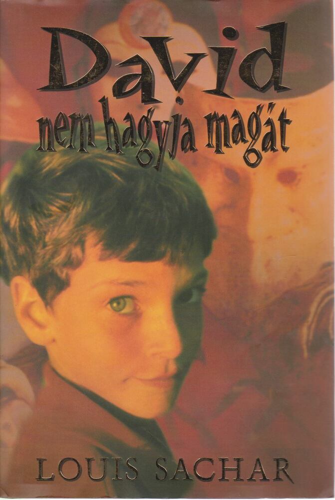 Sachar, Louis - David nem hagyja magát