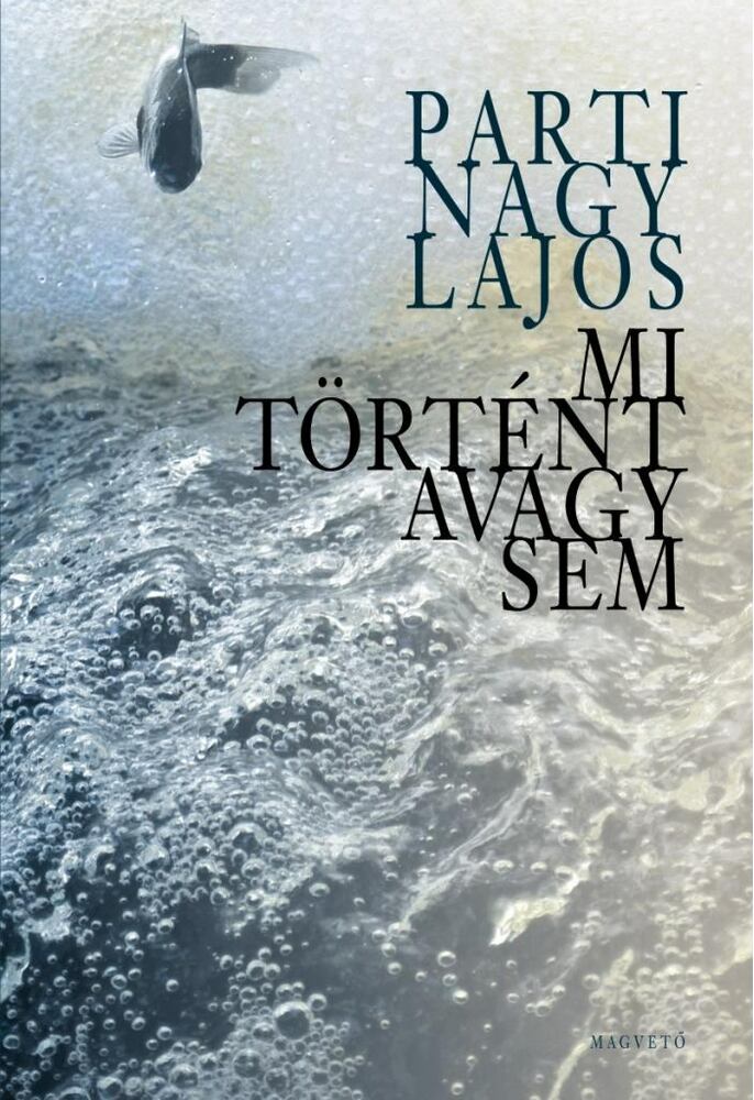 Parti Nagy Lajos - Mi történt avagy sem