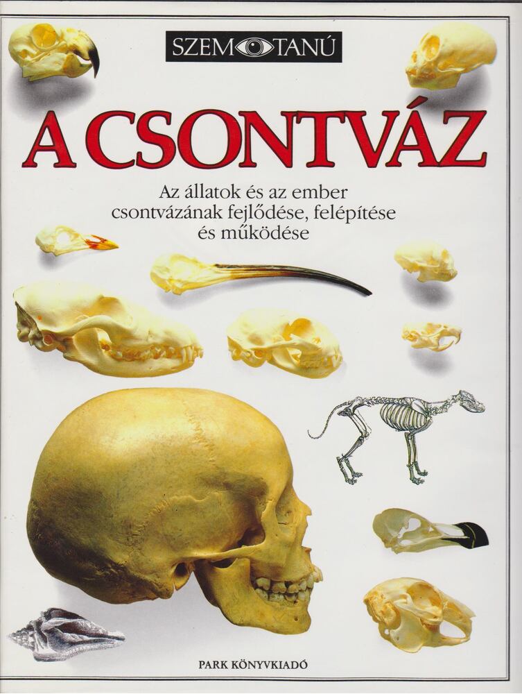 Steve Parker - A csontváz