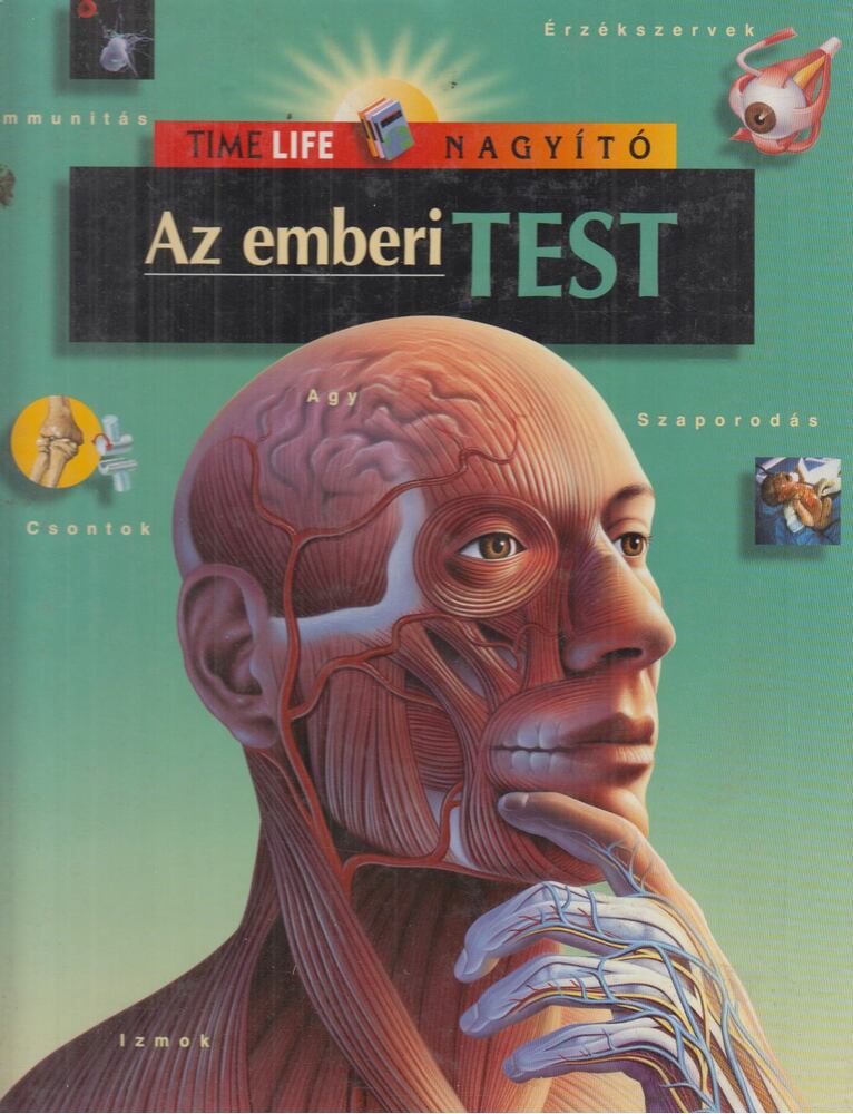 Dr. Pesthy Gábor (szerk.) - Az emberi test