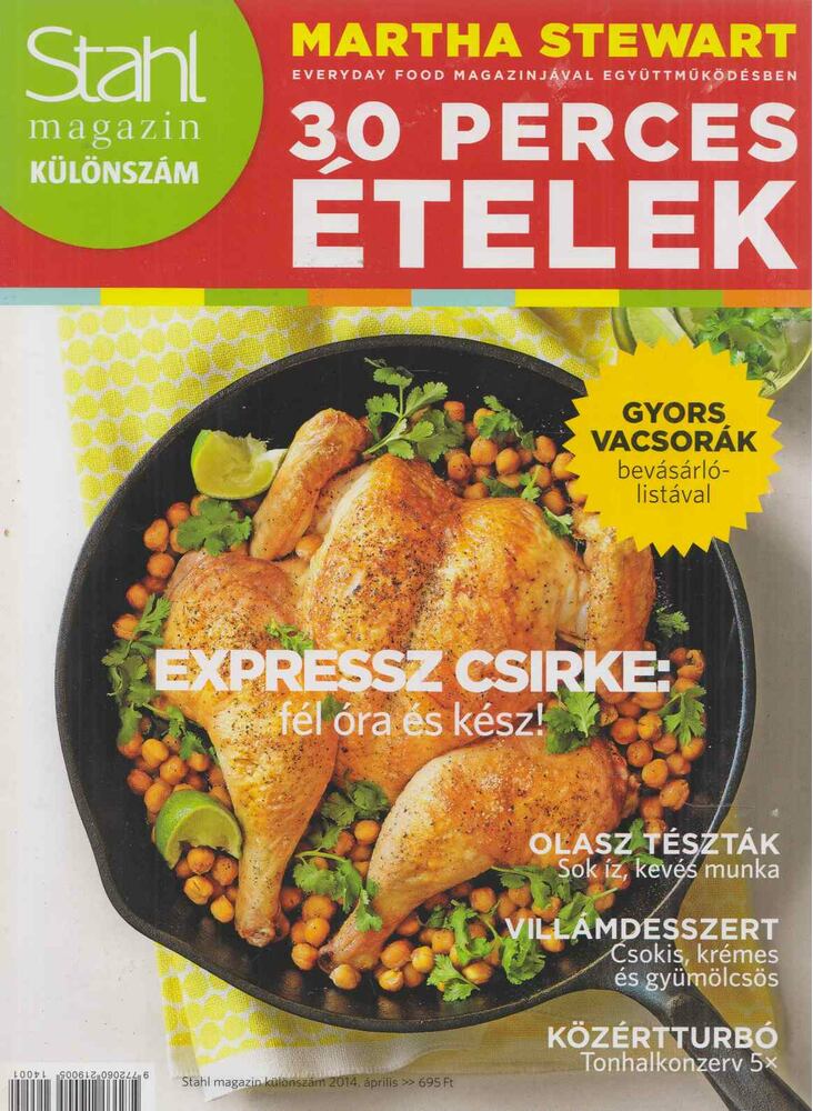 Wichmann Anna - Stahl magazin különszám 2014. április