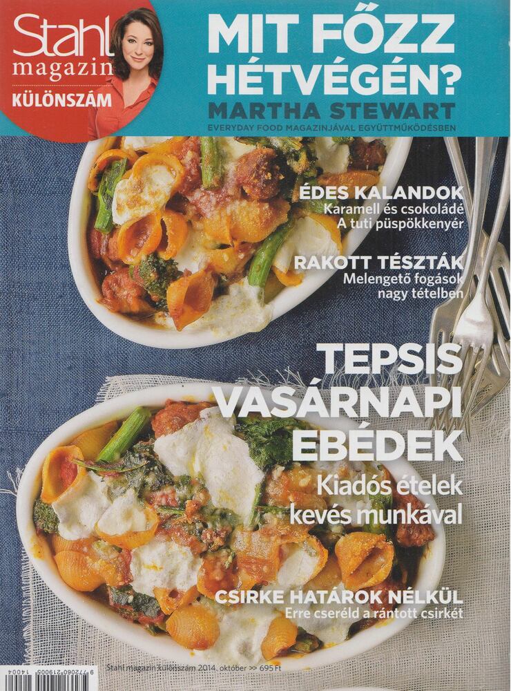 Wichmann Anna - Stahl magazin különszám - 2014. október