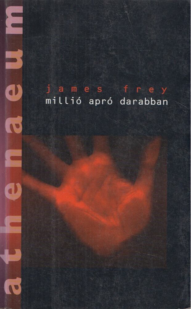 James Frey - Millió apró darabban