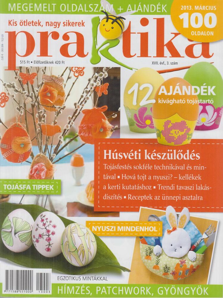 Boda Ildikó (főszerk.) - Praktika 2013. március